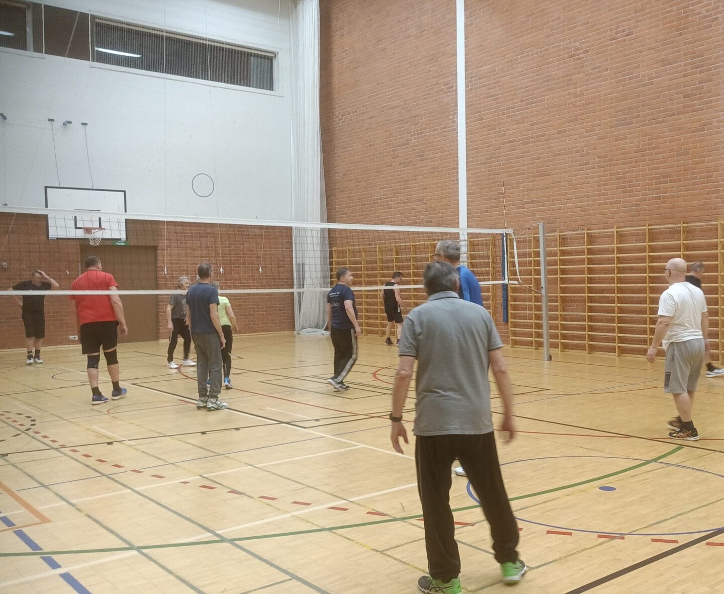 lentopallon pelaajat